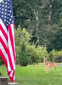 Deer and flag